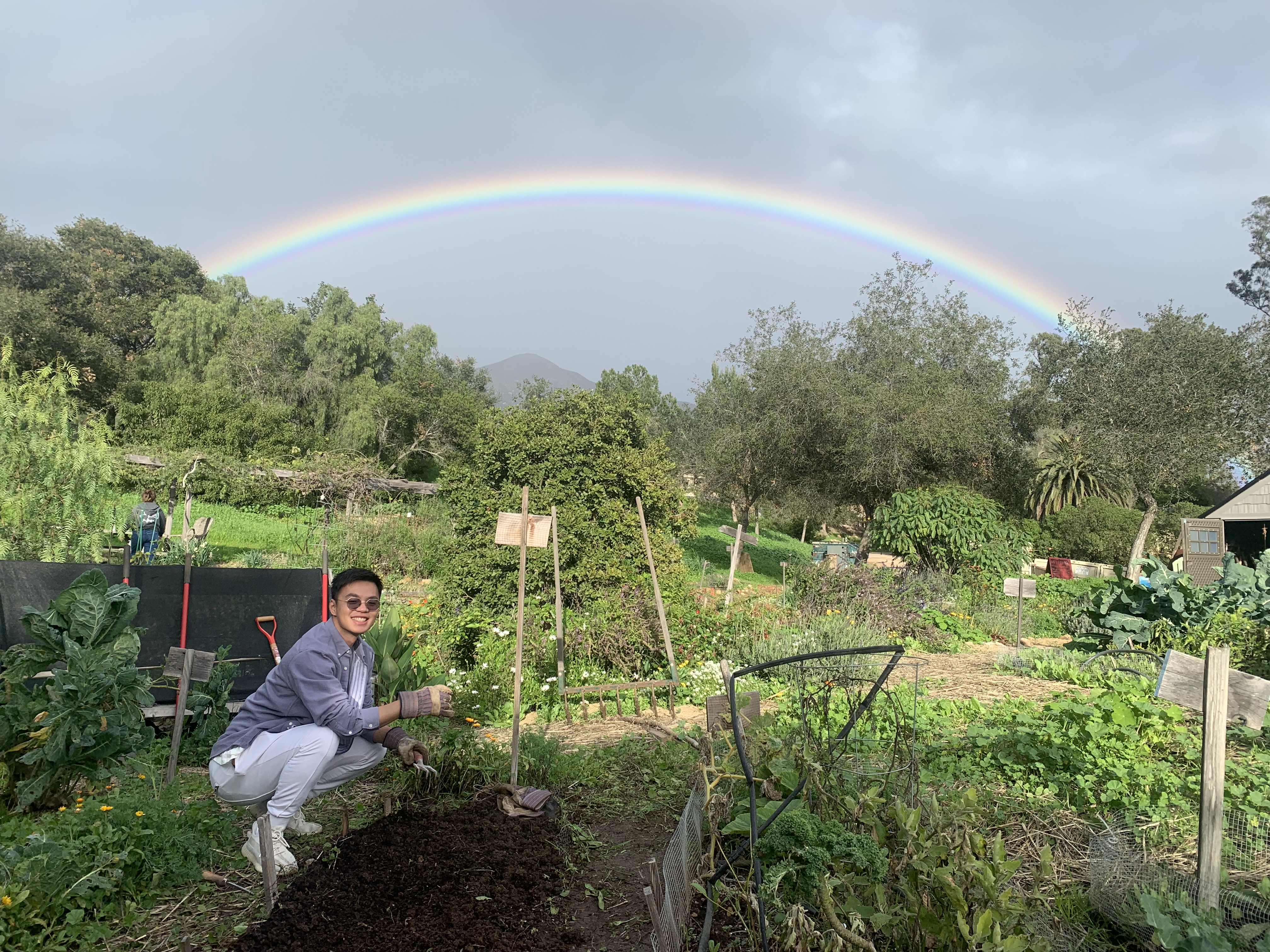 rainbow in the garden