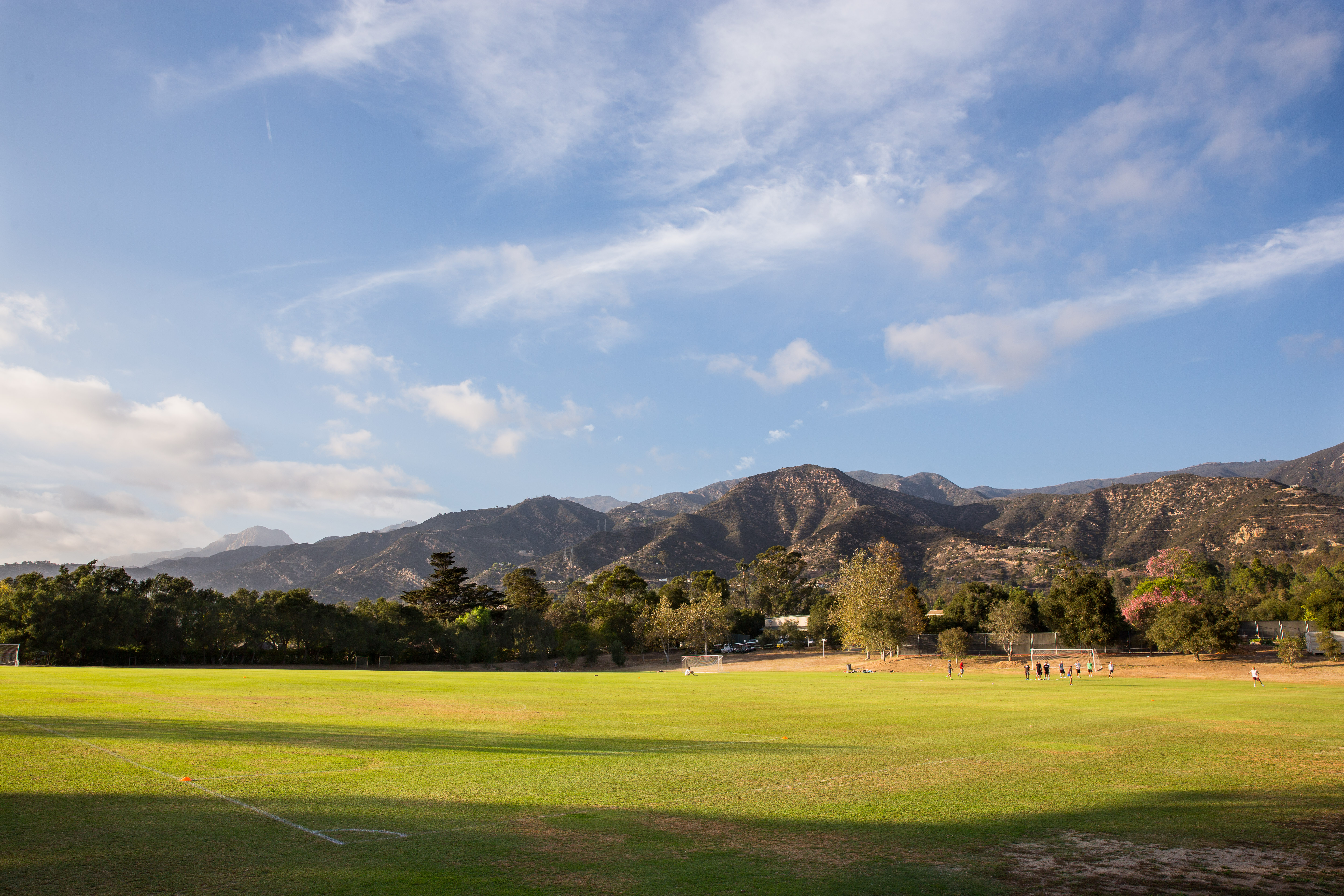 Lovik Field