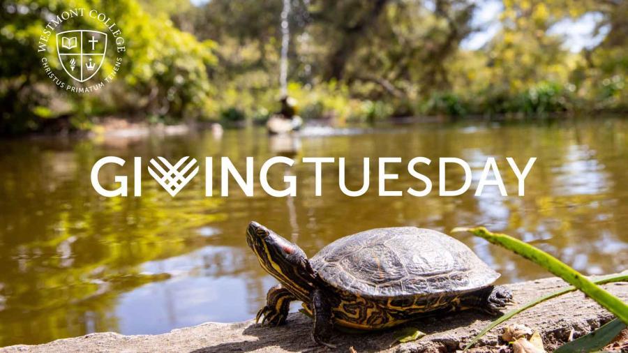 Donations Doubled for Giving Tuesday