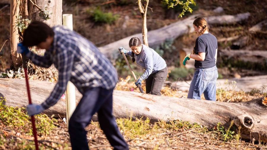 Project Promotes Fire Resilience, Biodiversity