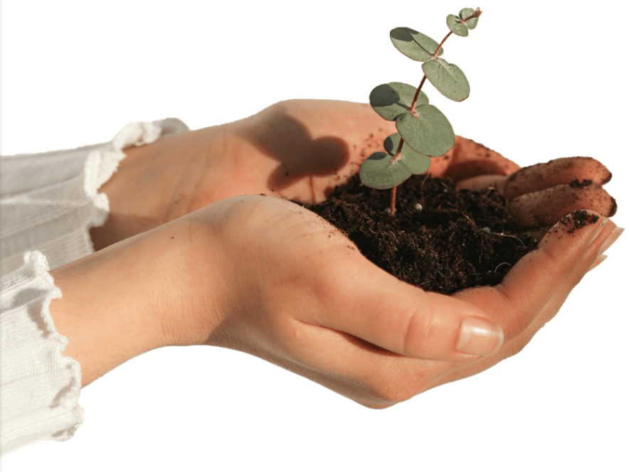 Clean Energy Solutions