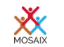 Mosaix Cultural Intelligence