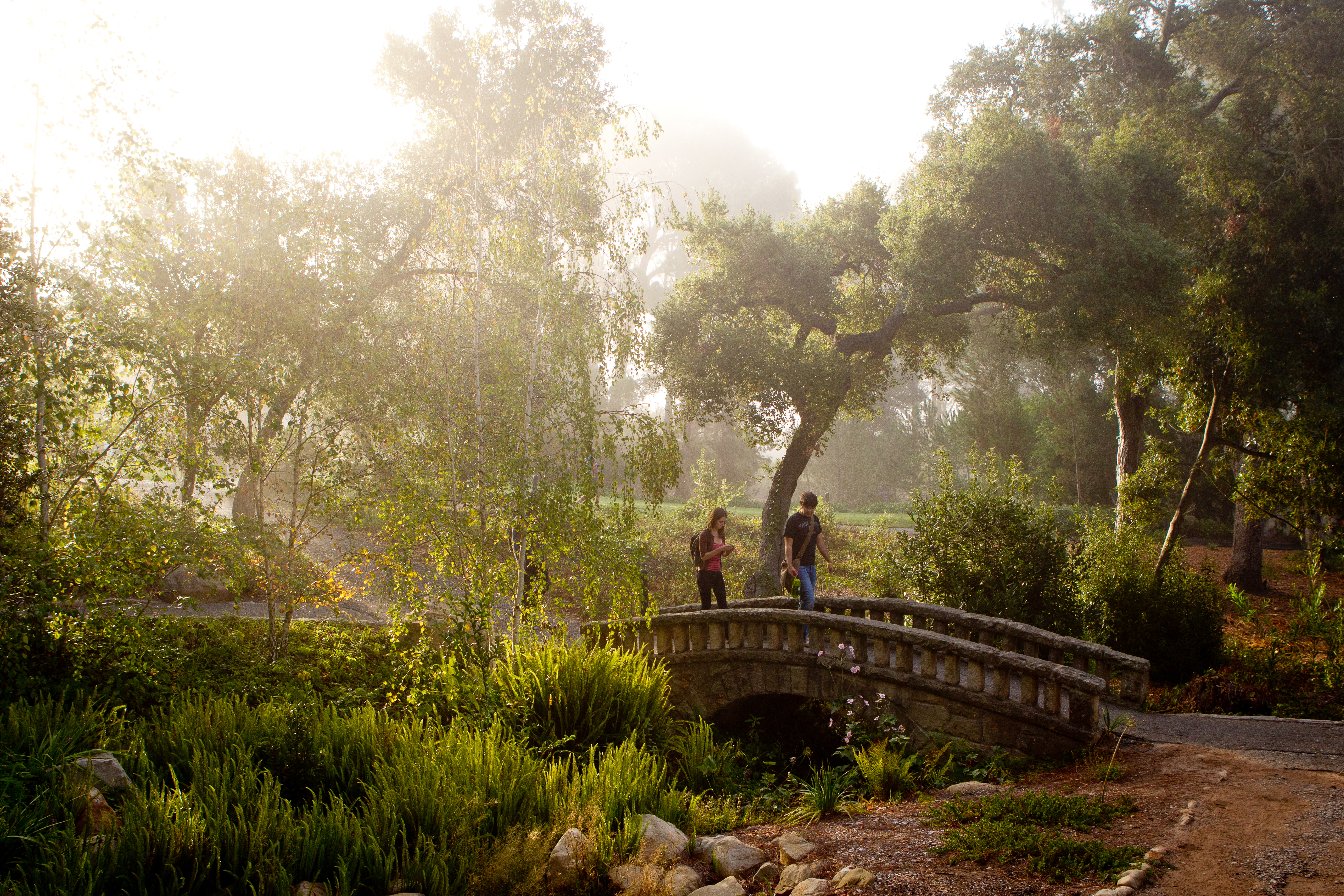 westmont students walking on campus fall