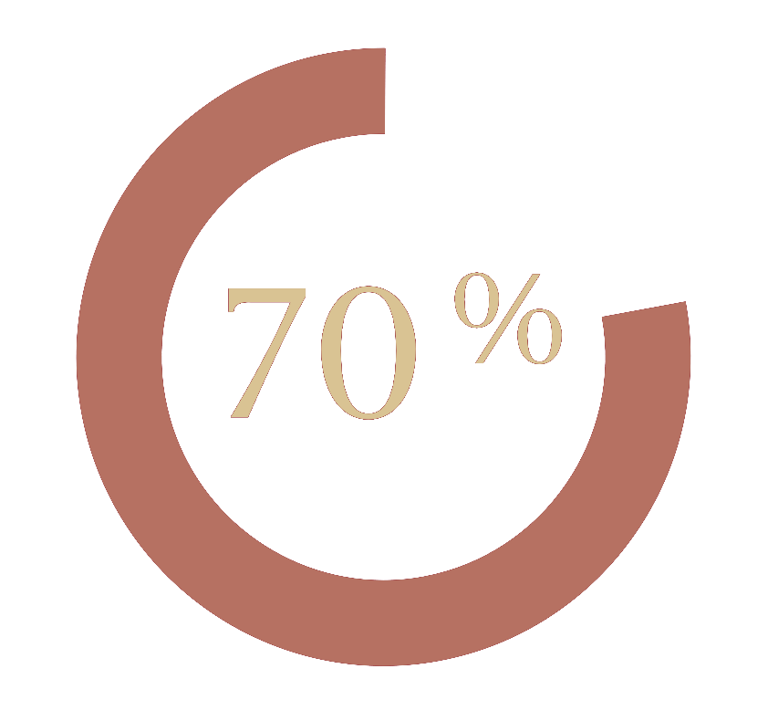 70 percent icon