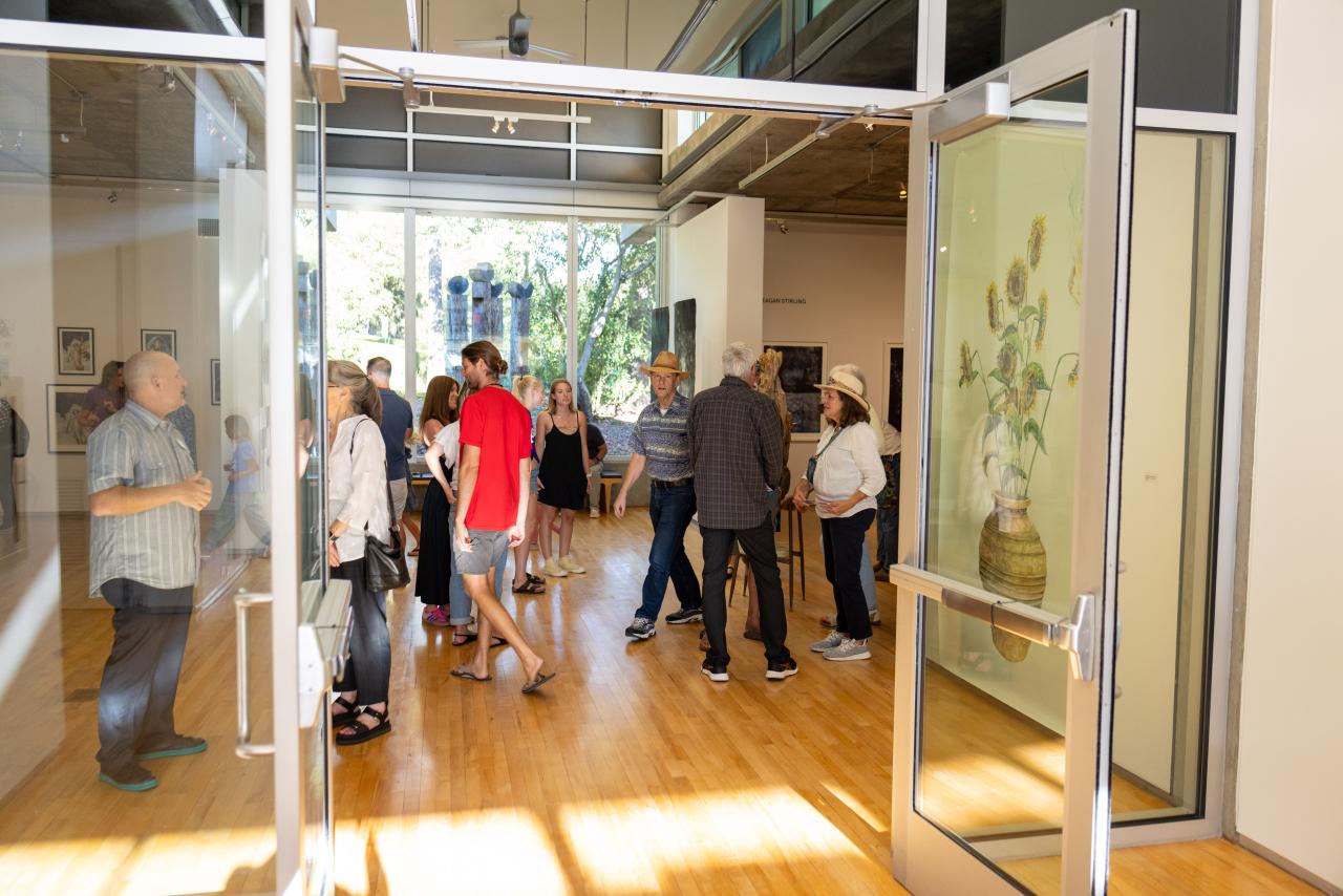 hanson museum gallery