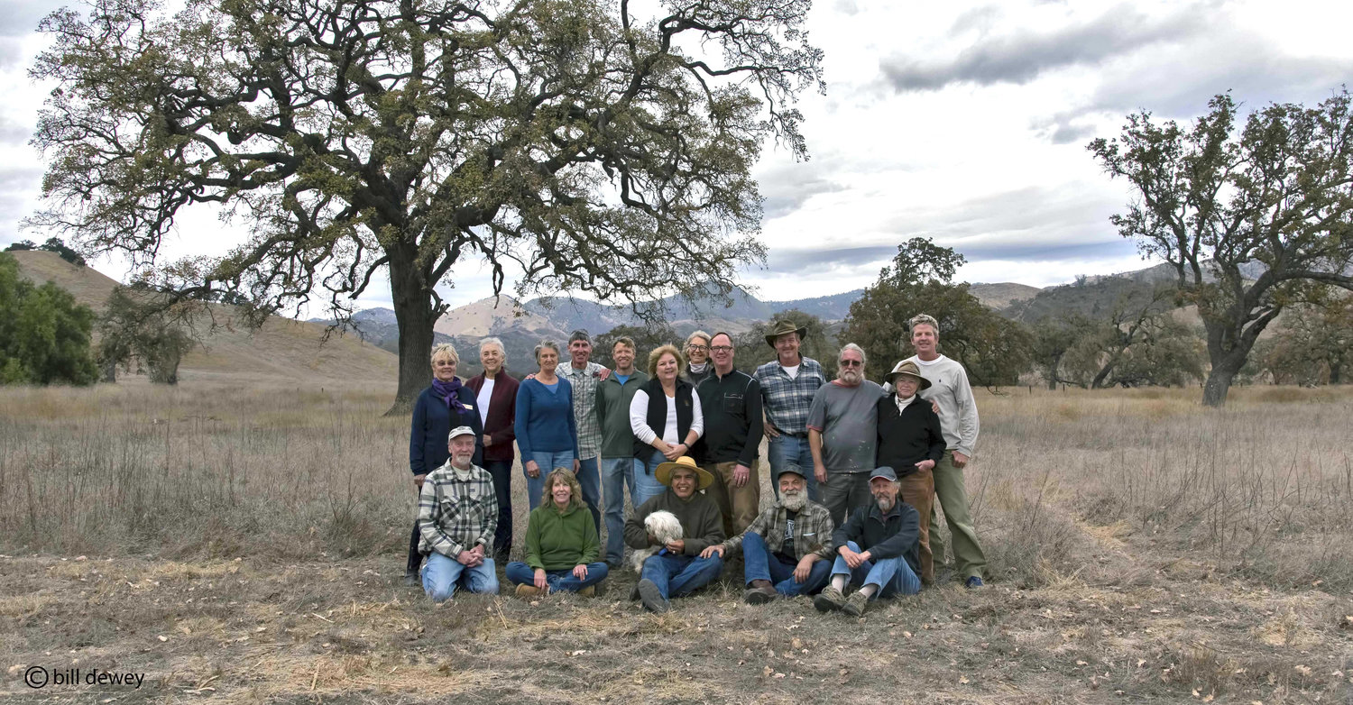 Group photo of the Oak Group artists outside in the landscape.