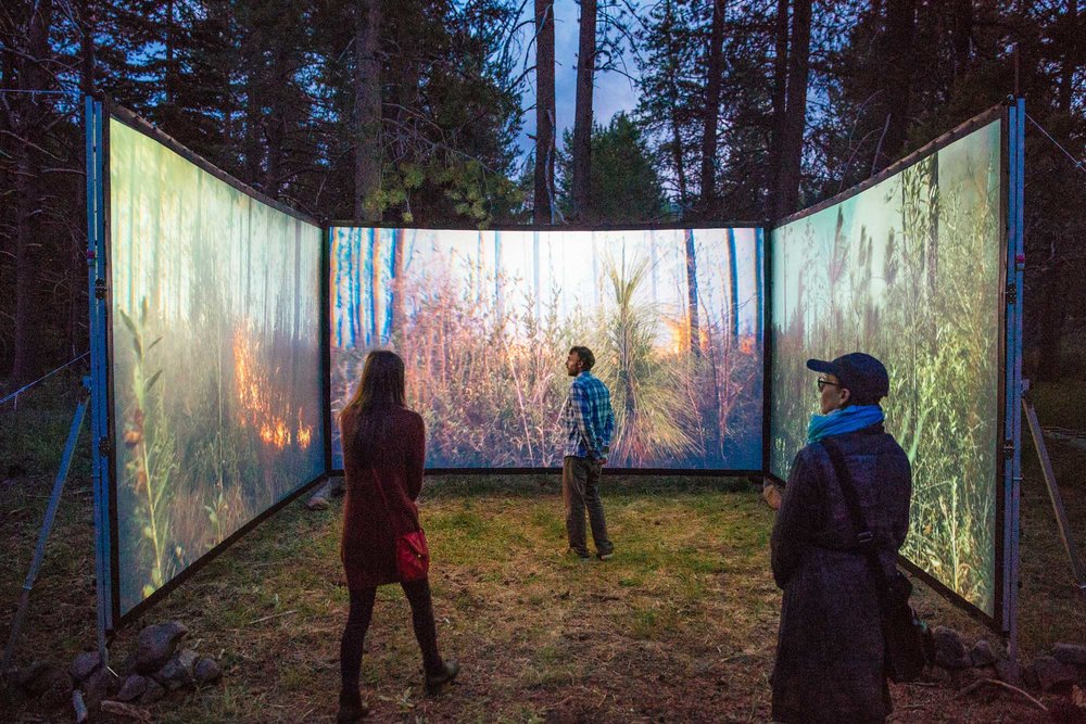 Image of people walking into three-screen projection showing images of wildfire and brush.