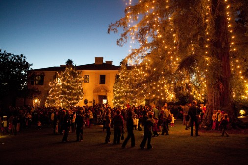 Hundreds gather under the newly lit Pickle Tree in 2010.