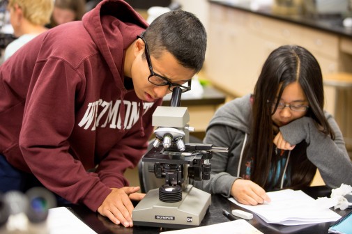 Students explore microscopic pores in Dr. Frank Percival's biology class