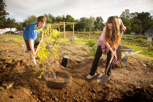 Anthony Waldrop and Natasha Tsaconas plant trees in 2012 