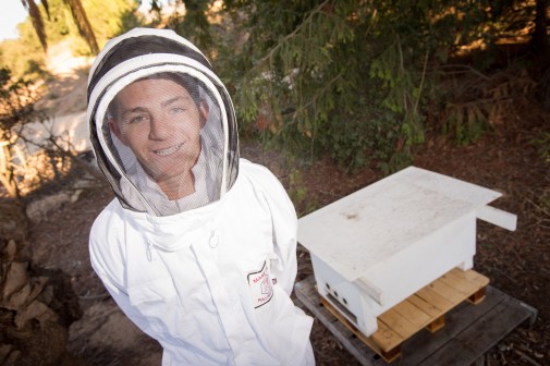 Daniel Erickson and the new bee hive