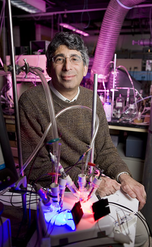 Dr. Andrew Bocarsly, professor of chemistry at Princeton University