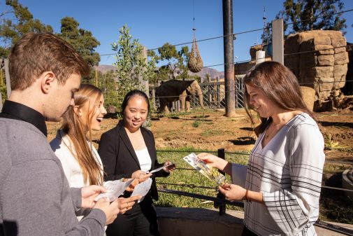 Westmont Decision Lab students assisted the Santa Barbara Zoo in making decisions about its future. 