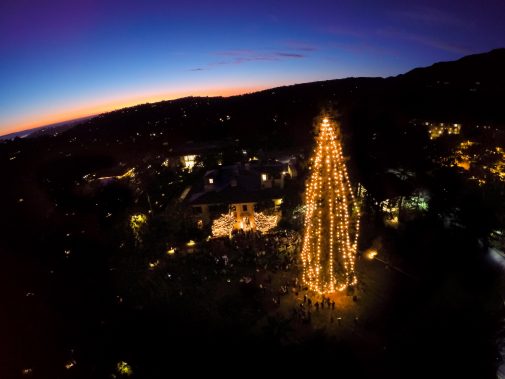 An aerial shot of the glowing Pickle Tree in 2015