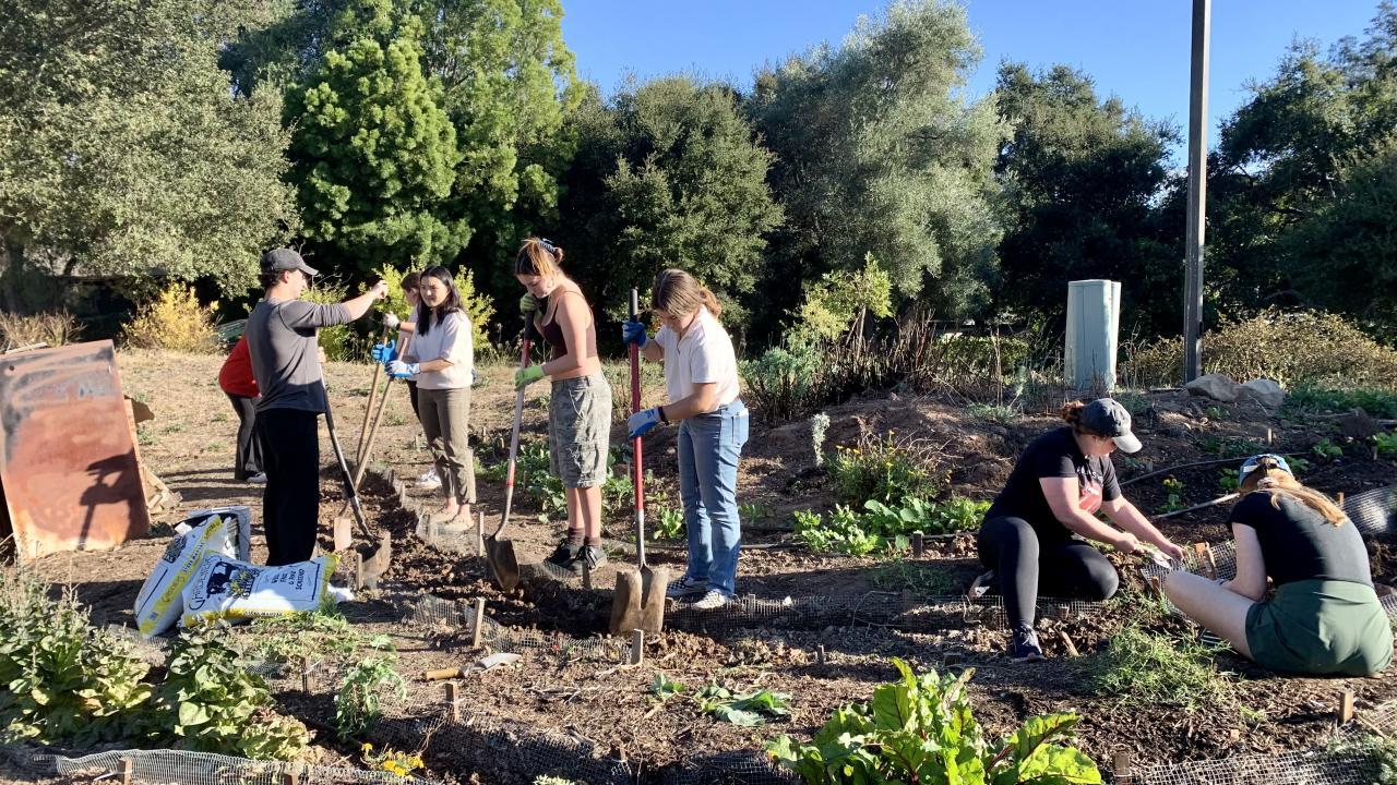 students in the garden