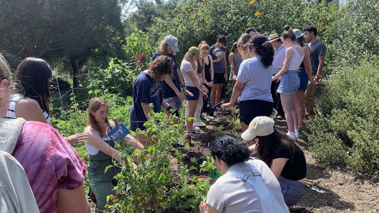 students in the garden