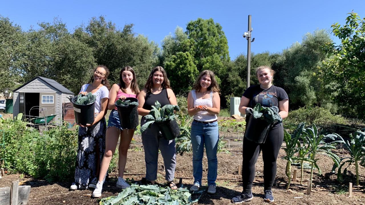 students in the garden