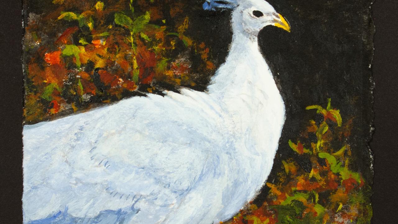 Ada Peacock Artwork for Sale at Online Auction