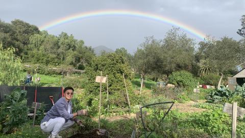 rainbow in the garden