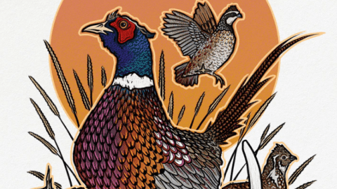 Illustration of pheasant with smaller birds, grasses, antlers, and an orange sun.