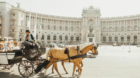 horses in vienna austria