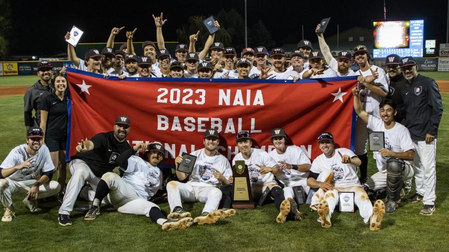 Top 10 Best College Baseball Camps in 2022