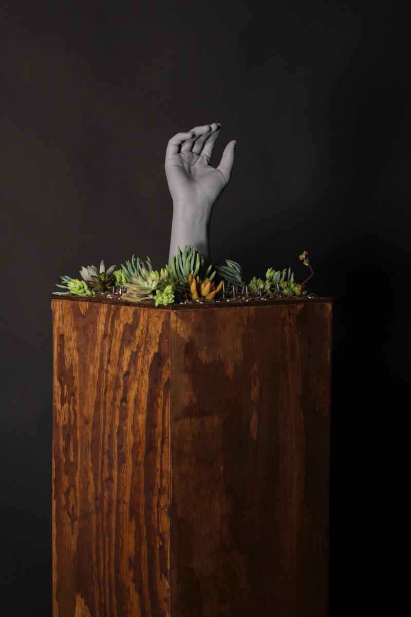 plaster hand, succulents and nails on wooden pedestal