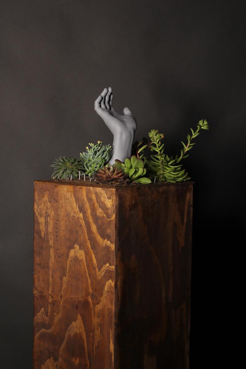 plaster hand, succulents and nails on wooden pedestal