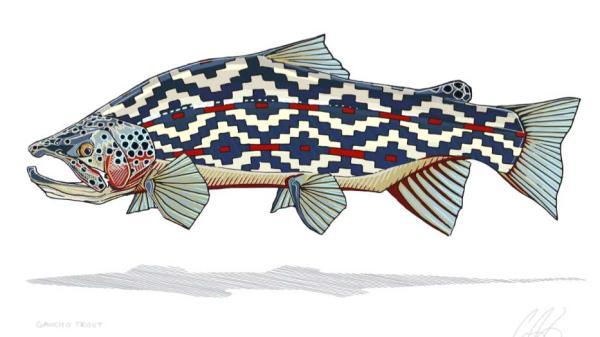 Casey Underwood's "Gaucho Trout"