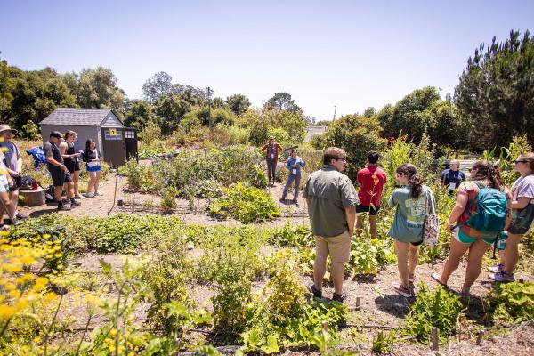 Westmont Garden for Workshop Students